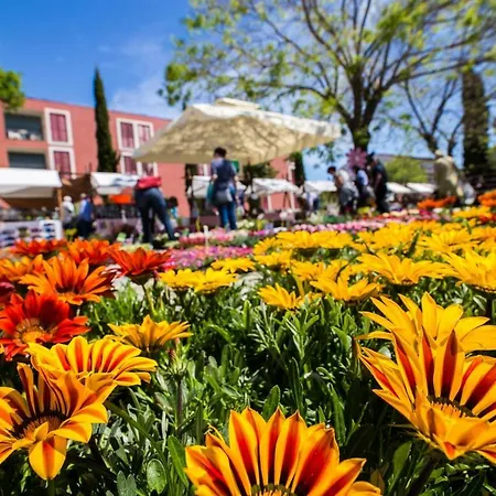 Kamena Kuca Roko فيلة *